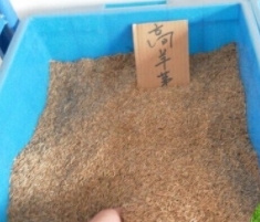 使用煙臺海藻酸鈉的應(yīng)用都有哪些范圍？